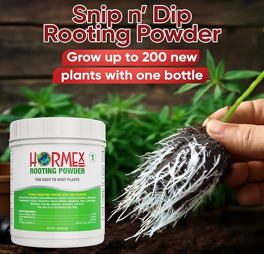 A) #1 For Easy to Root Plants - 1 Lb