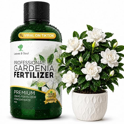 Gardenia