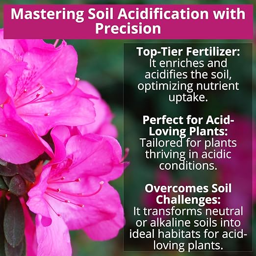 8-4-8 Azalea Fertilizer