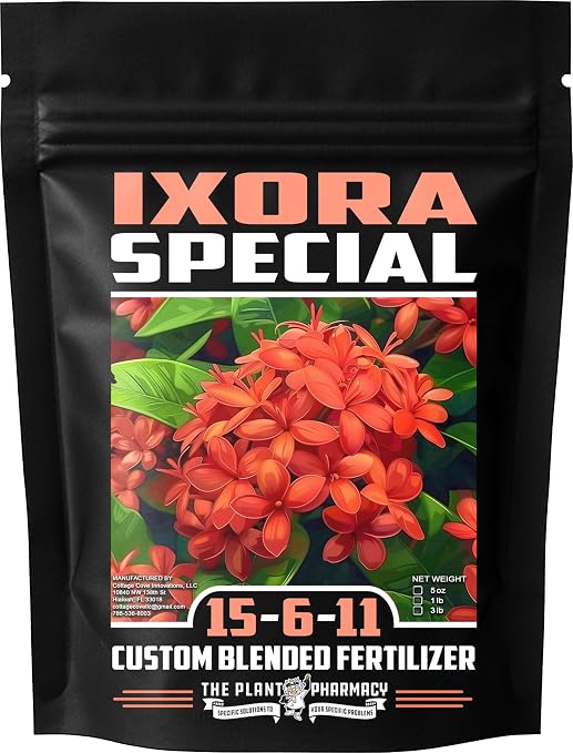Ixora Special