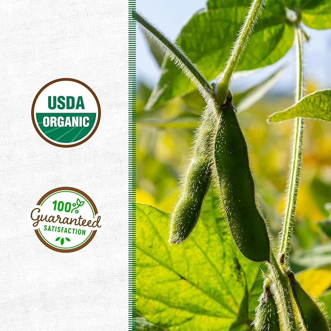 Soybean