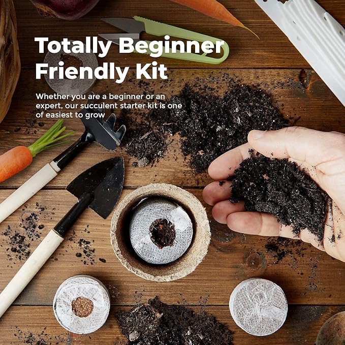 10 Veg Kit