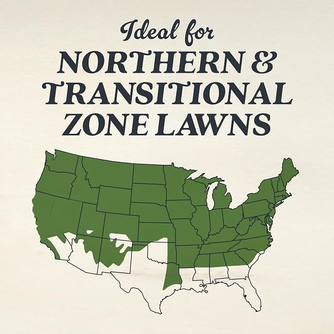 Tall Fescue