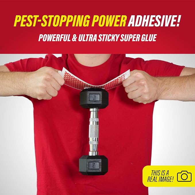 __DEFAULT__