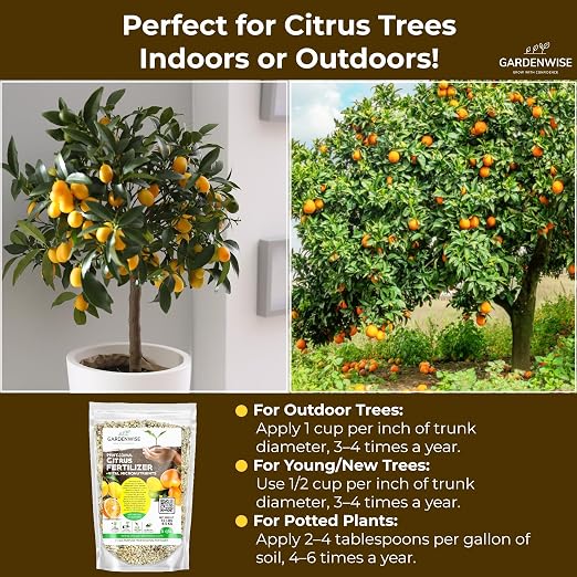 Citrus and Lemon Tree Fertilizer