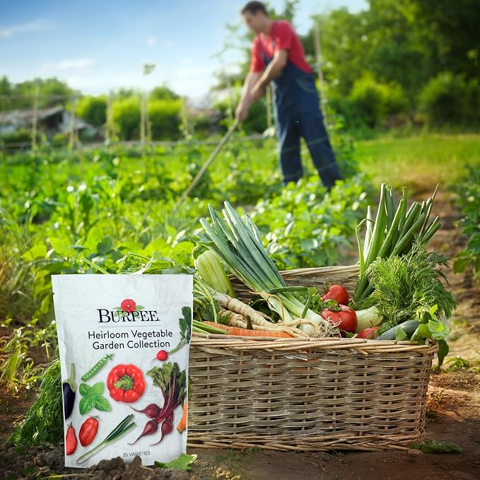 Best 35 Heirloom Vegetable Seeds