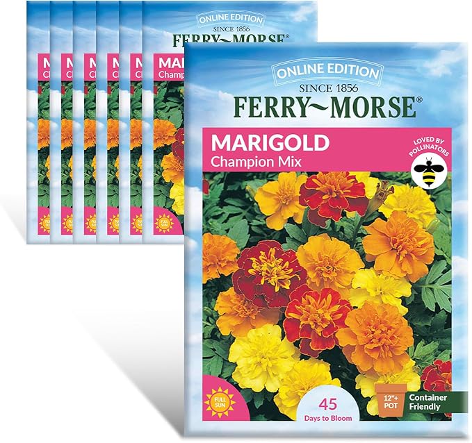 Marigold Champion Mix Seed Multipack - 7 Pack