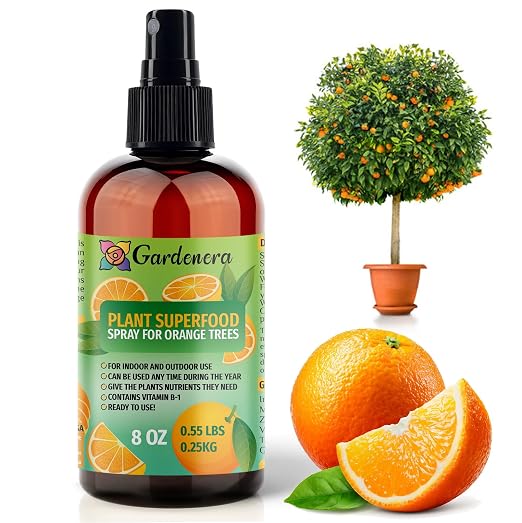 ORANGE Plants Superfood