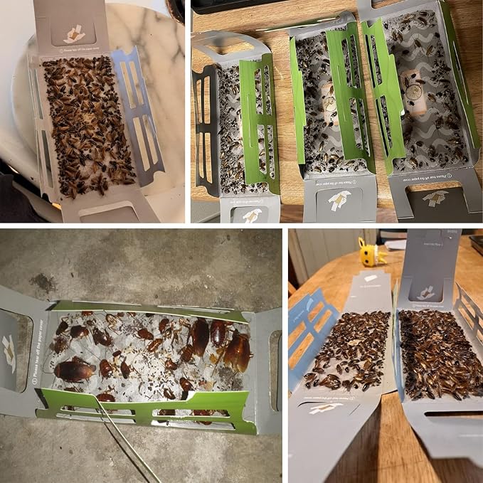 roachtrap-15 pack