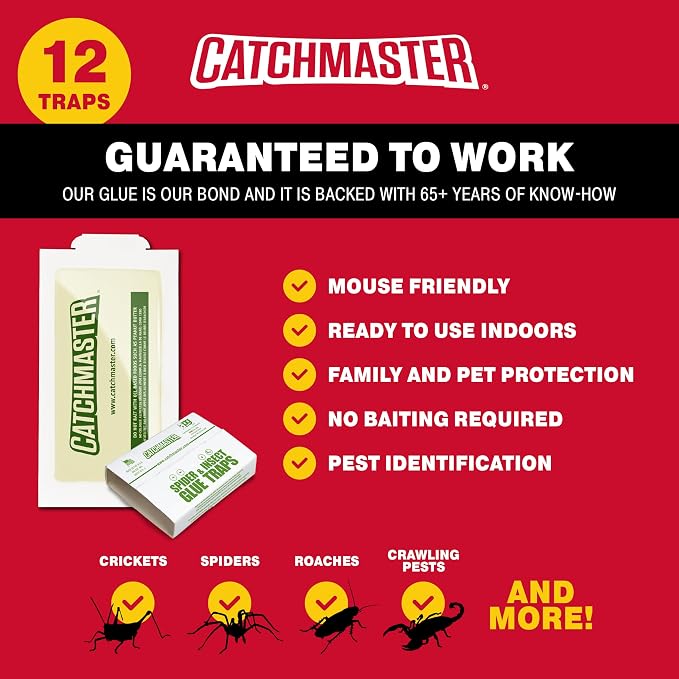 __DEFAULT__