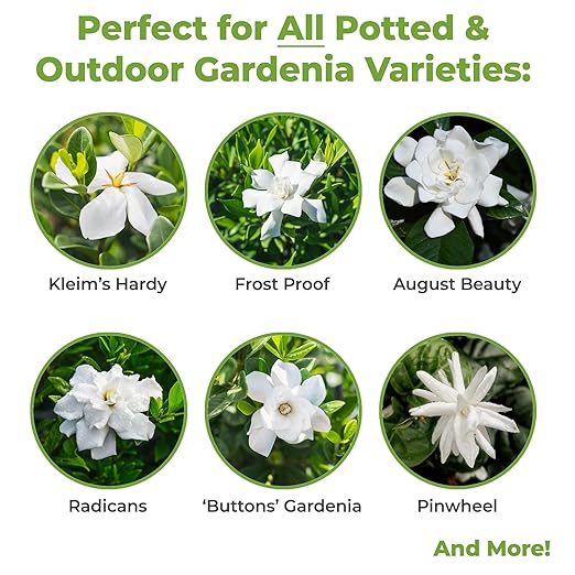 Gardenia Fertilizer