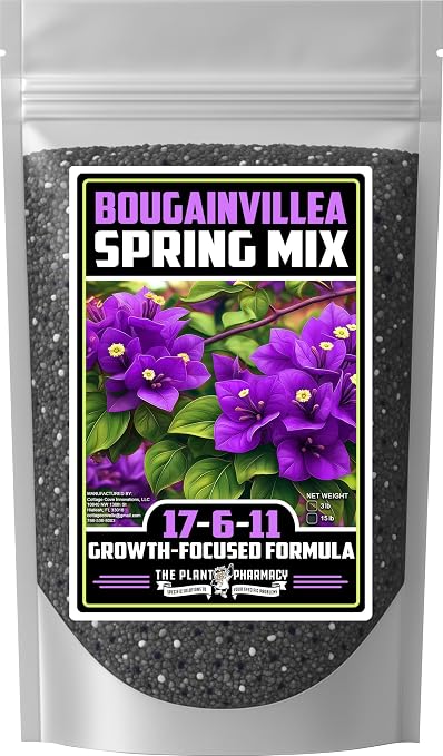 Bougainvillea Spring Mix