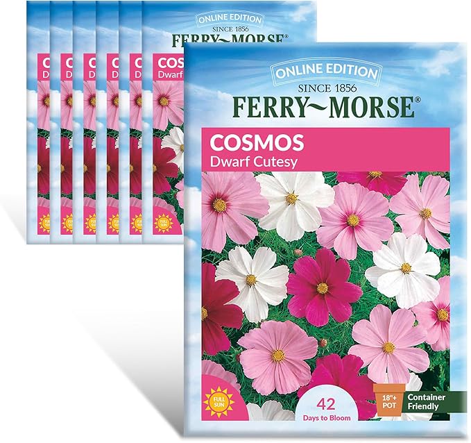 Cosmos Dwarf Cutesy Mixed Colors Seed Multipack - 7 Pack