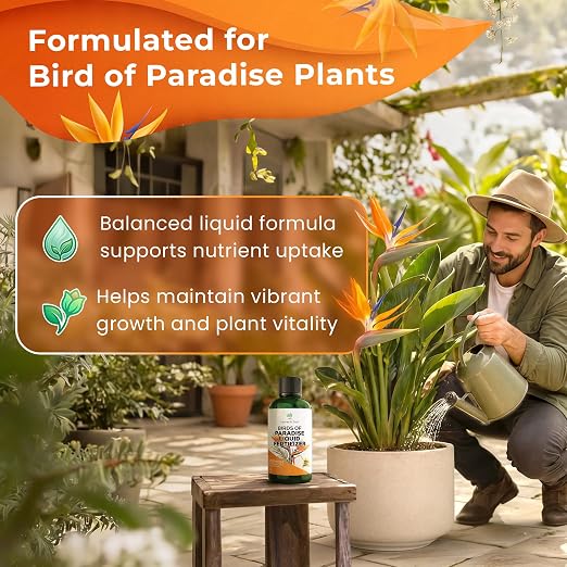 Bird of Paradise