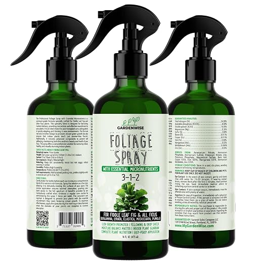 Fiddle Leaf Fig Spray 3-1-2
