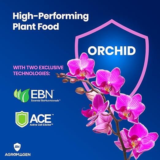 Orchid