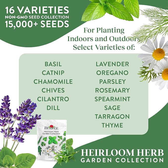 Best 16 Heirloom Herb Seeds