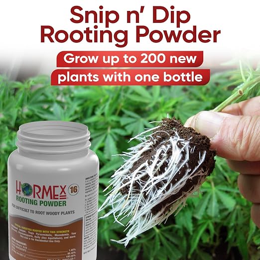 I) Rooting Cubes, Shears & Powder #16