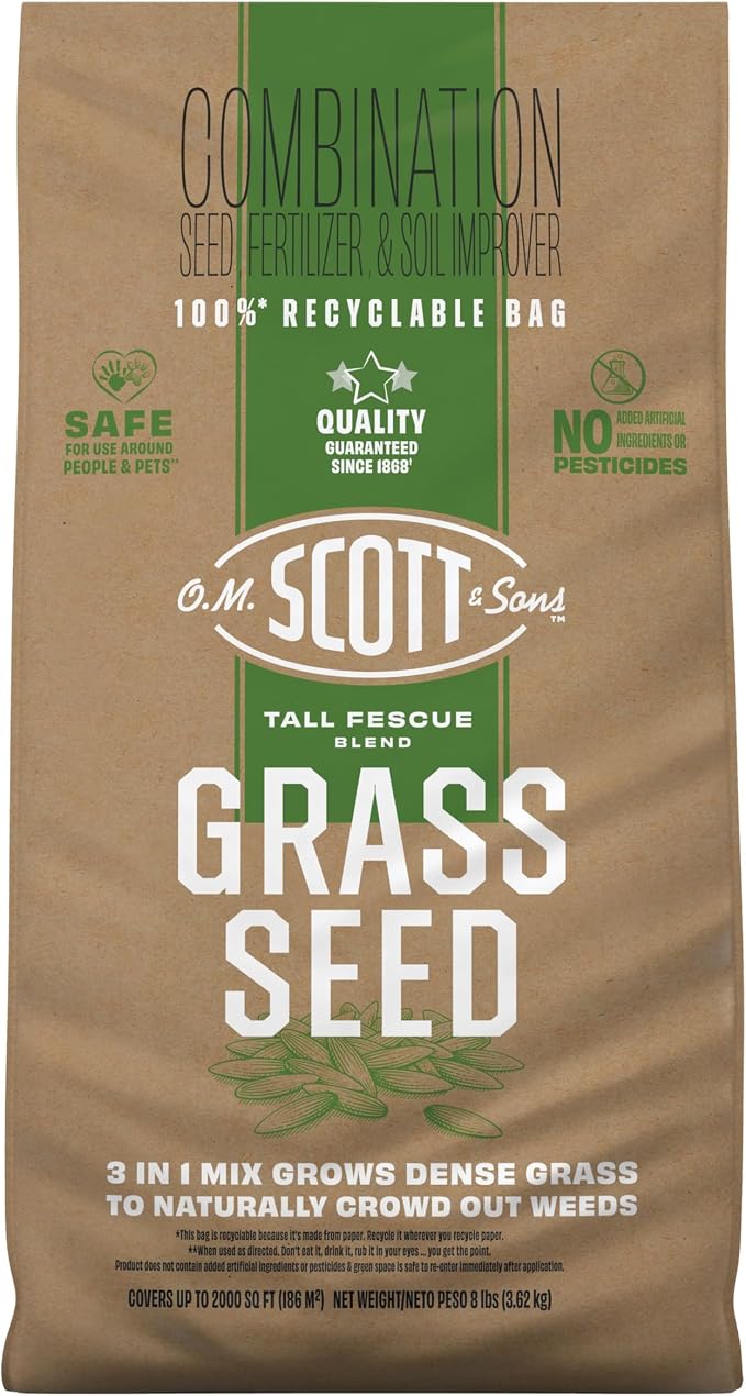 Tall Fescue