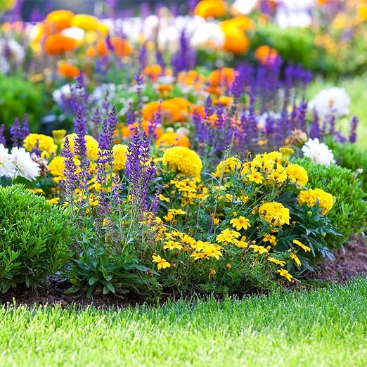 __DEFAULT__