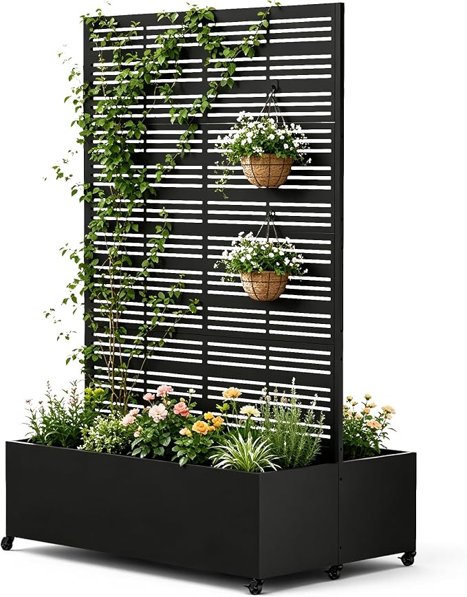 Black Line