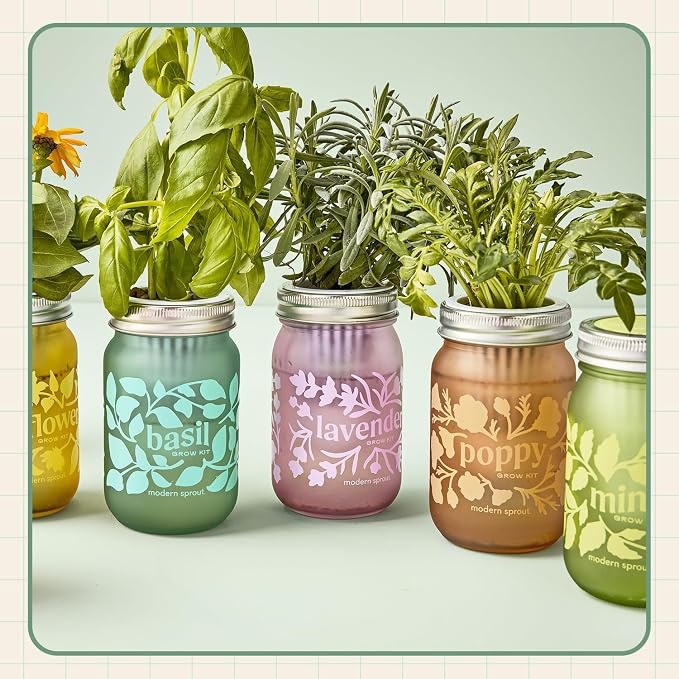 Poppy + Rosemary + Mint