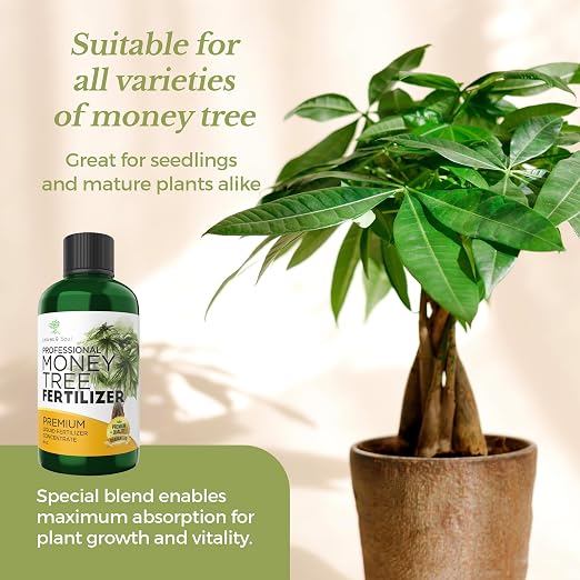 Money Tree