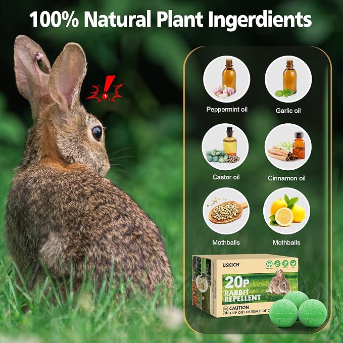 Green-rabbit