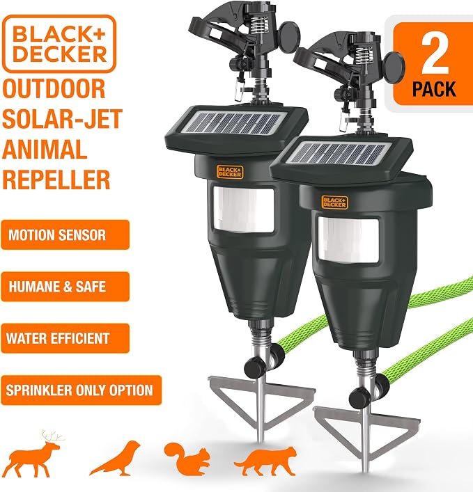 __DEFAULT__