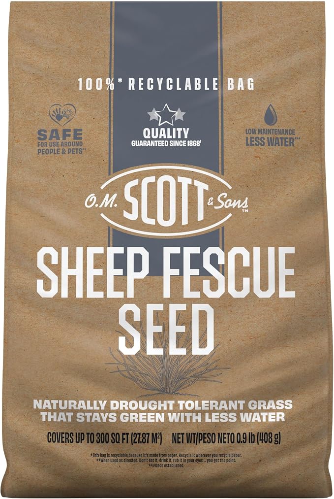 Sheep Fescue