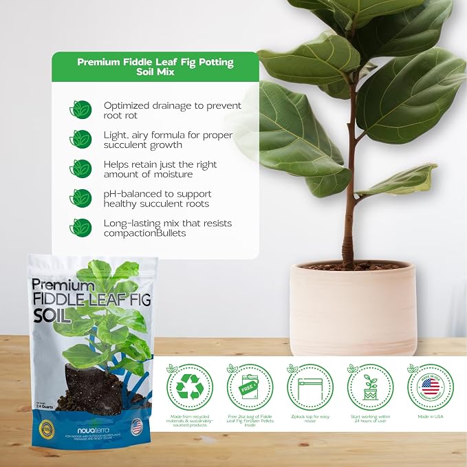 Fiddle Leaf Fig Soil