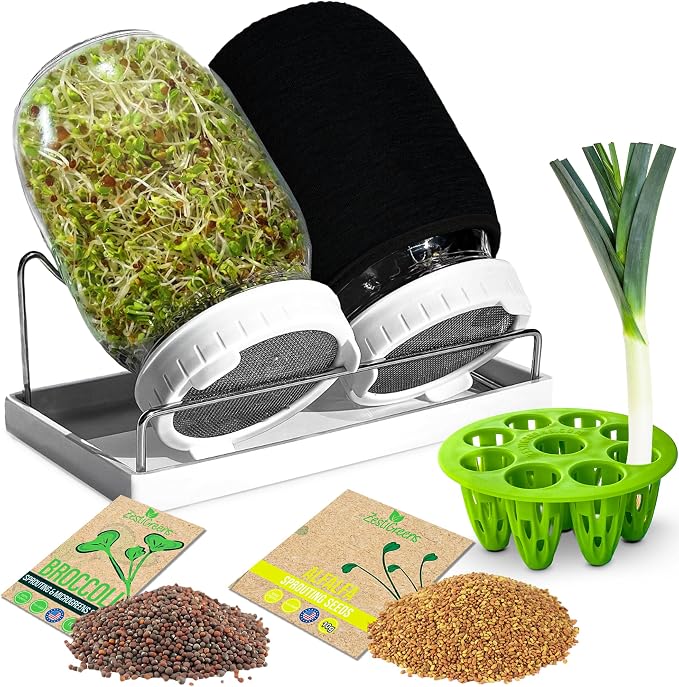 Sprouting Jar with Seeds
