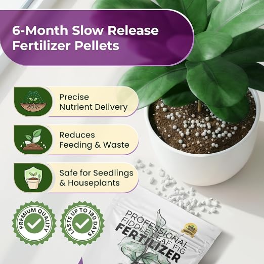 Fiddle Leaf Fig Fertilzer (16-5-11 Pellets)