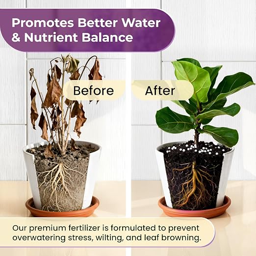 Fiddle Leaf Fig Fertilzer (16-5-11 Pellets)