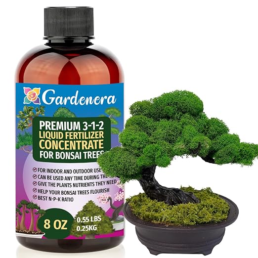 BONSAI
