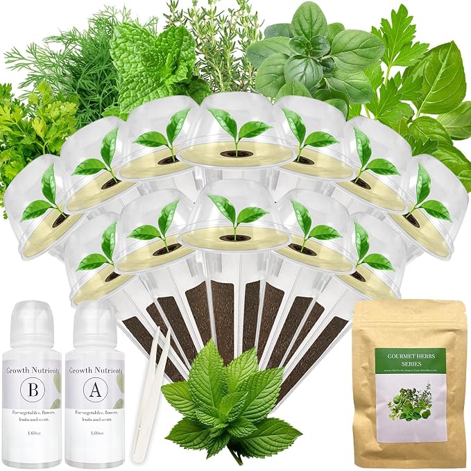 Herb