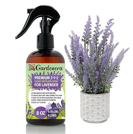 LAVENDER