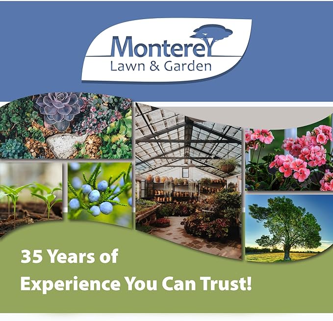 __DEFAULT__
