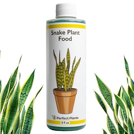Snake Plant Fertilizer