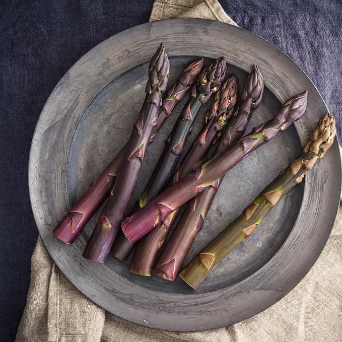 Purple Asparagus