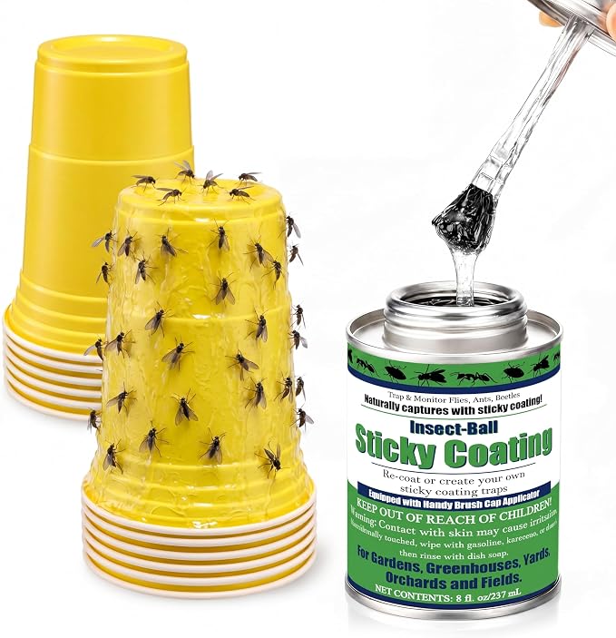 Yellow Cup
