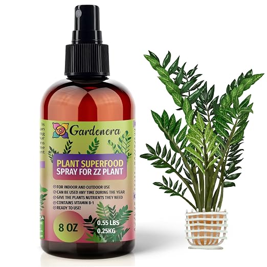 ZZ PLANTS Superfood