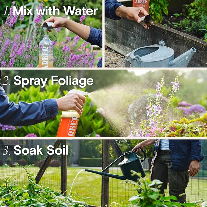 Organic Disease & Insect Set