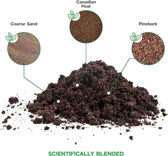 Aloe Vera Soil