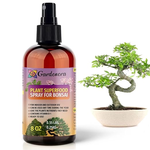 BONSAI Plants Superfood