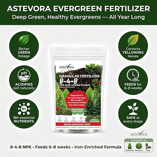 Evergreen Fertilizer