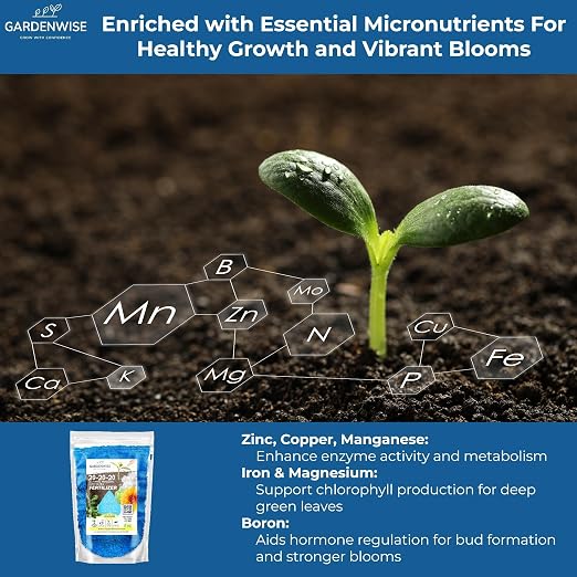 20-20-20 Water-Soluble Fertilizer