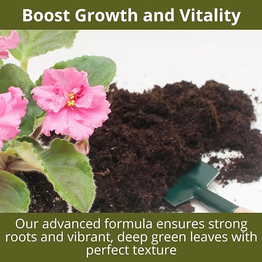 African Violet Drops 3-1-2