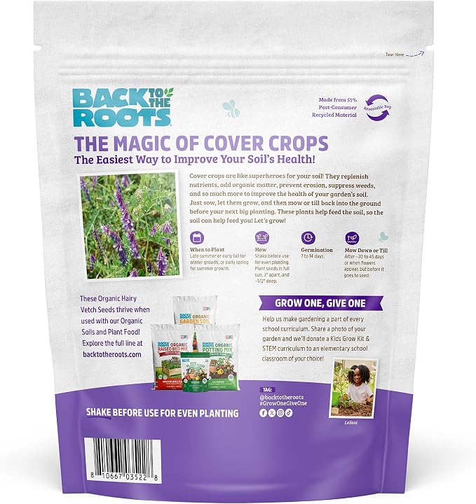 Hairy Vetch