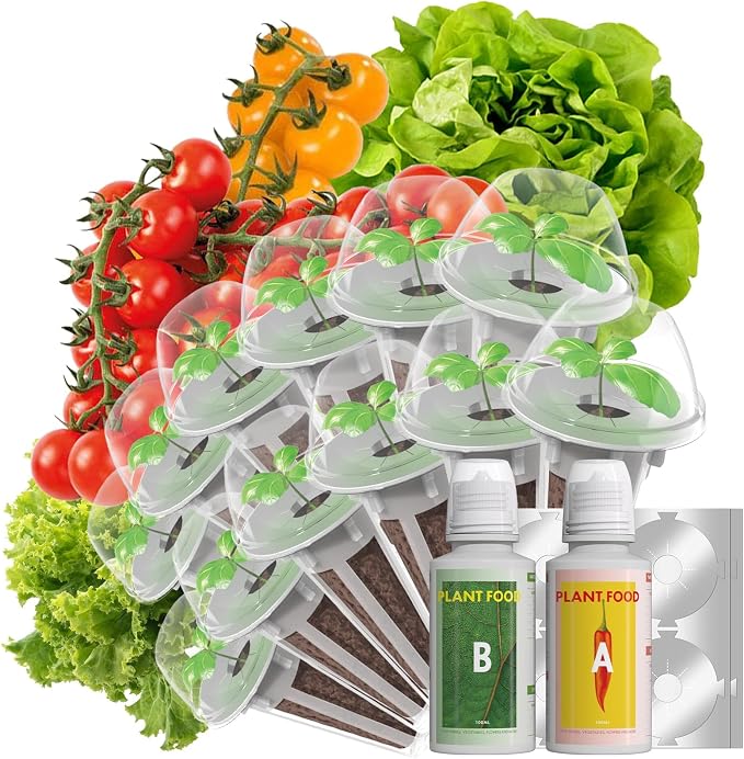 Low-calorie Salad